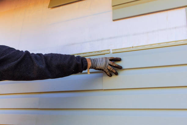 Best Engineered Wood Siding  in Verona, KY